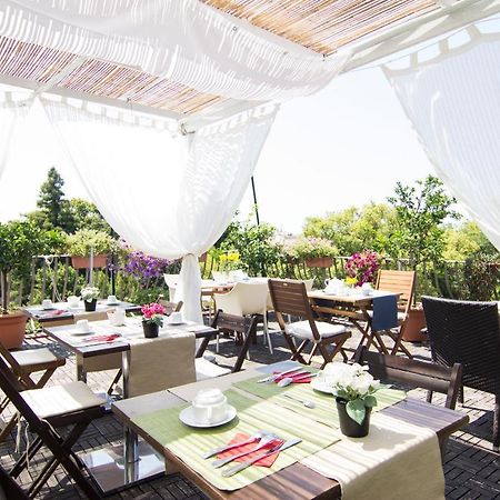 B&B 7 Rooms Пиза Экстерьер фото